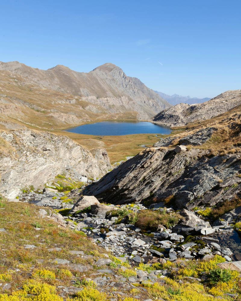Prairies alpines verdoyantes du Queyras avec sommets enneigés en arrière-plan