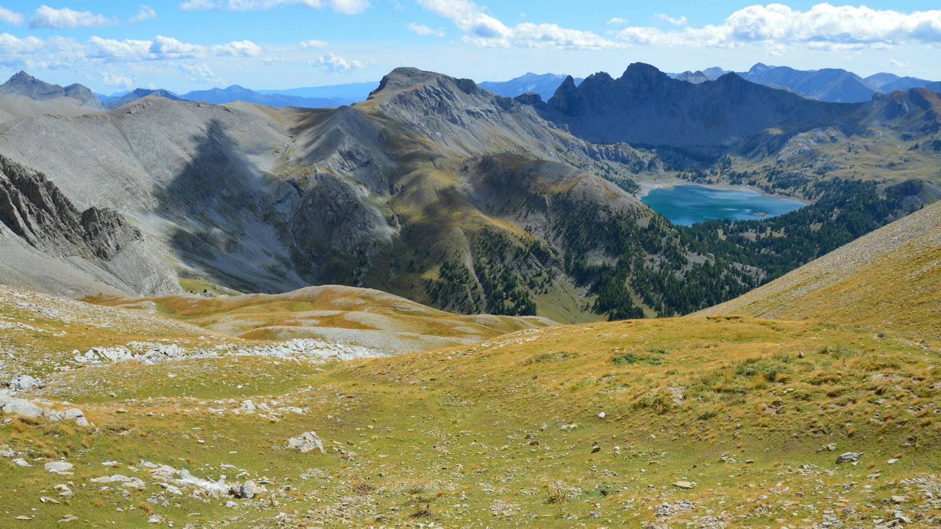 Prairies alpines verdoyantes du Queyras avec sommets enneigés
